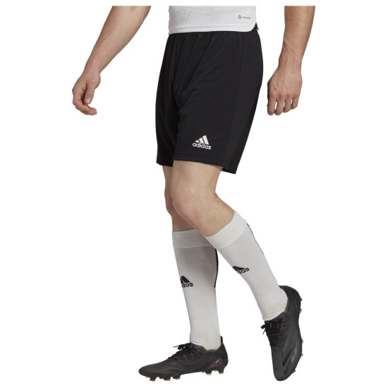 Adidas Ανδρικό σορτς Entrada22 Shorts
